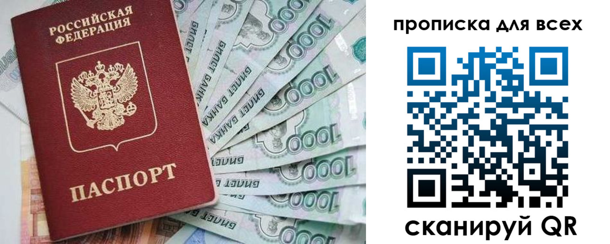 прописка гарантия в Волгограде